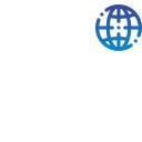 P&I Surveys